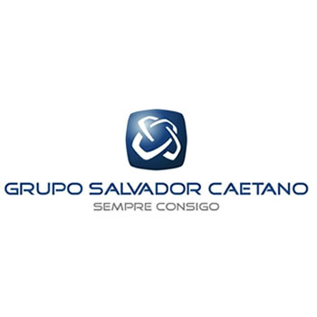 Grupo Salvador Caetano